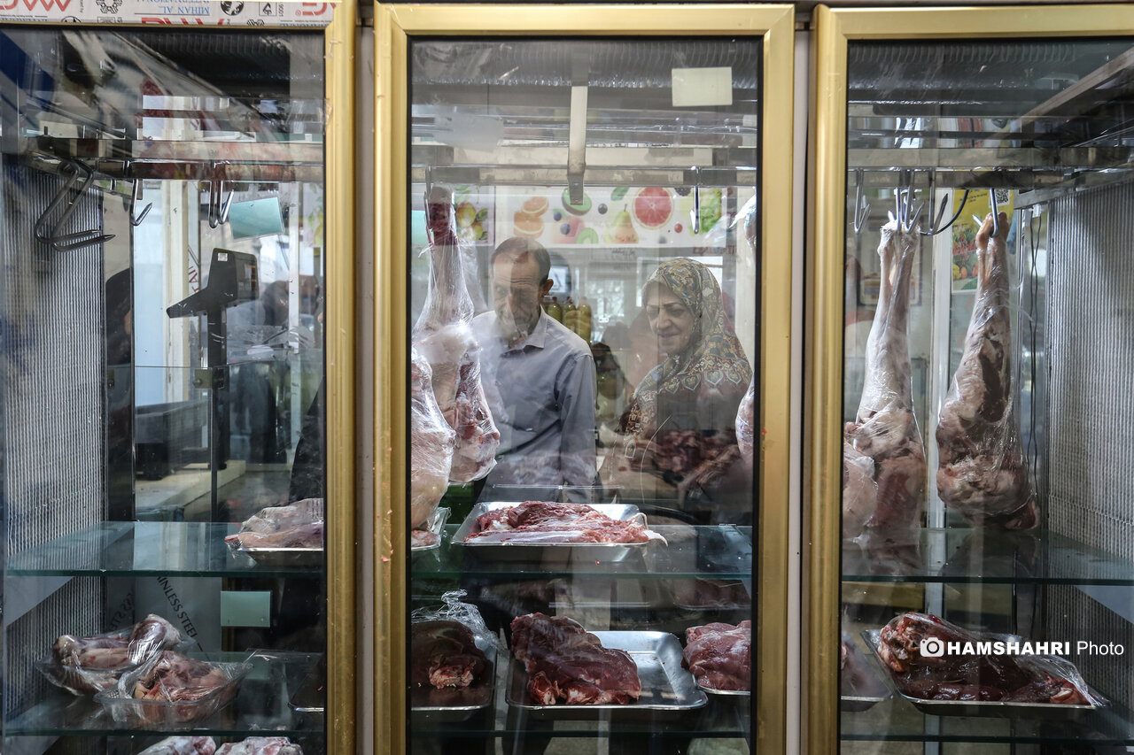توزیع گوشت دولتی منجمد در میادین میوه و تره بار