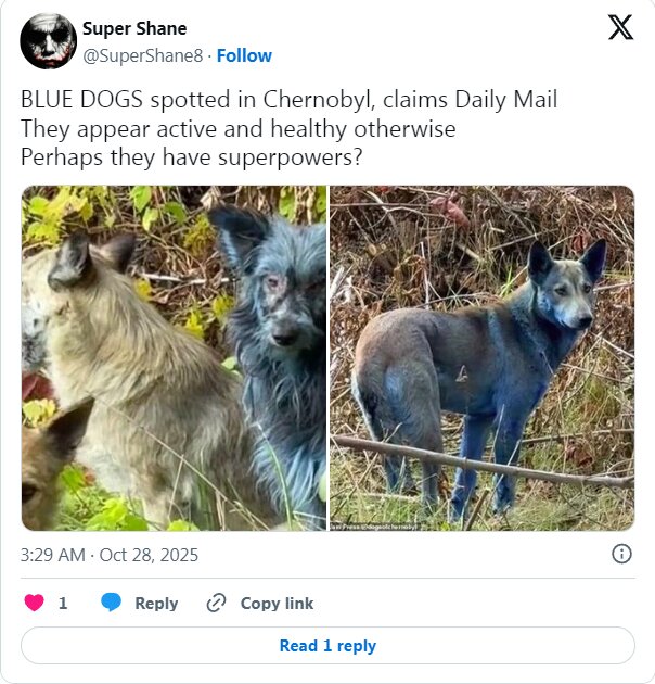 حیرت دانشمندان از پدیده‌ای عجیب در چرنوبیل