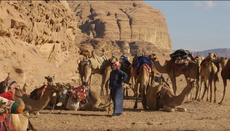 وایت یک زندگی گمشده در دوربینی که دوباره فروخته شد