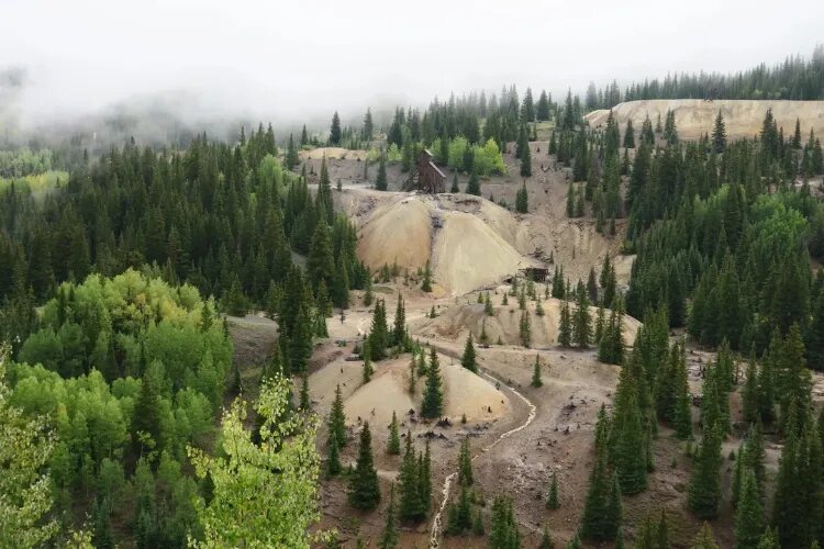 وایت یک زندگی گمشده در دوربینی که دوباره فروخته شد