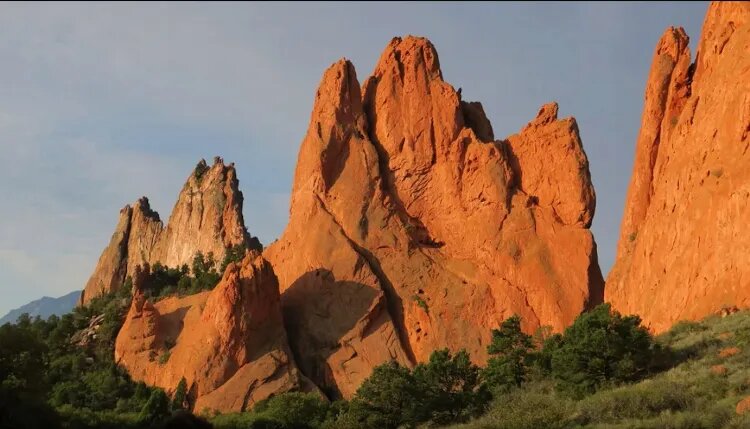 وایت یک زندگی گمشده در دوربینی که دوباره فروخته شد