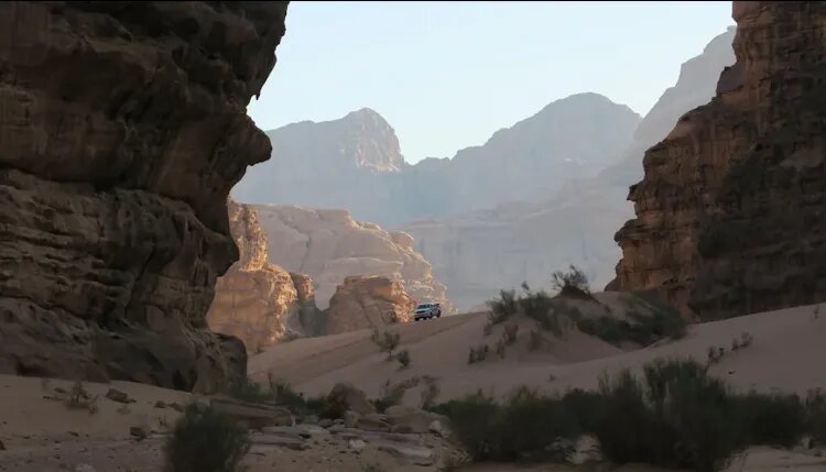 وایت یک زندگی گمشده در دوربینی که دوباره فروخته شد