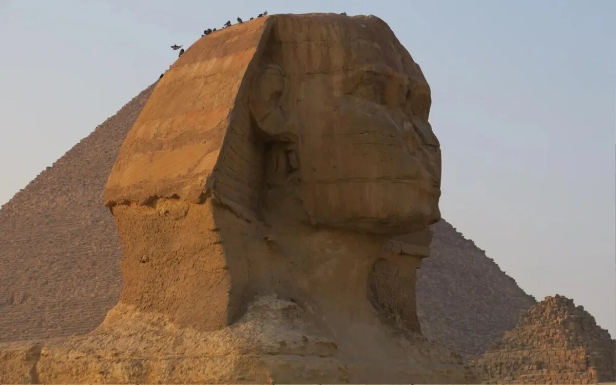 وایت یک زندگی گمشده در دوربینی که دوباره فروخته شد