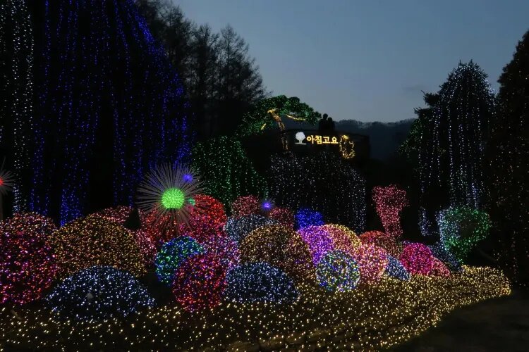 وایت یک زندگی گمشده در دوربینی که دوباره فروخته شد