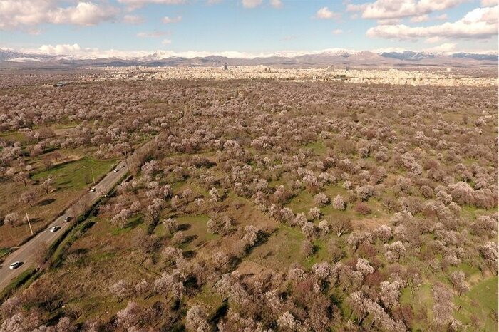 ثبت جهانی باغستان قزوین در میراث کشاورزی | اعطای نشان به باغدار قزوینی باغستان