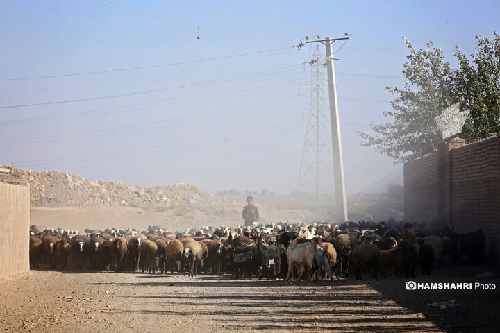 روستای زرگر؛روستای اروپایی قزوین