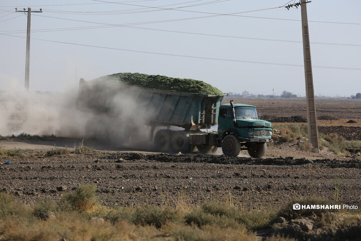 روستای زرگر؛روستای اروپایی قزوین