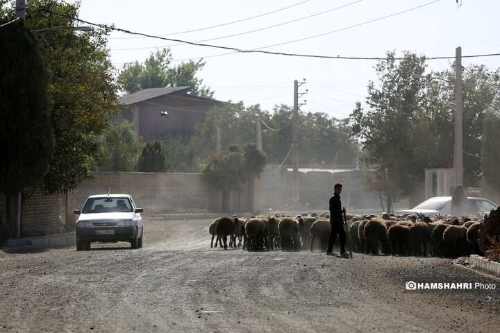 روستای زرگر؛روستای اروپایی قزوین