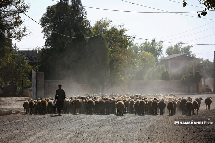 روستای زرگر؛روستای اروپایی قزوین