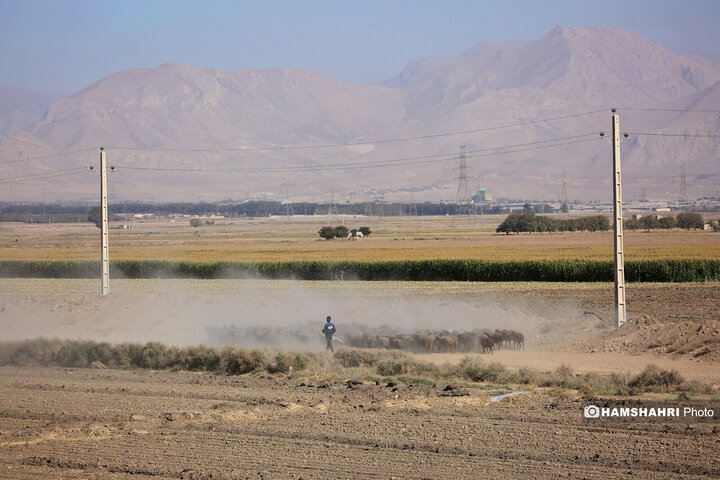 روستای زرگر؛روستای اروپایی قزوین