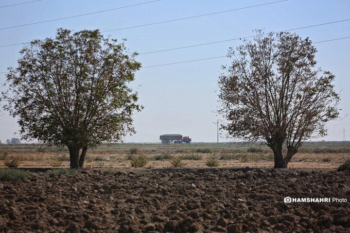 روستای زرگر؛روستای اروپایی قزوین