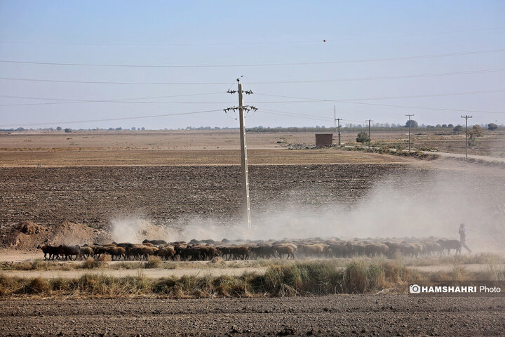 روستای زرگر؛روستای اروپایی قزوین