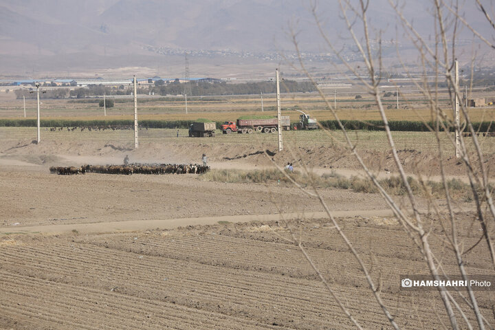 روستای زرگر؛روستای اروپایی قزوین