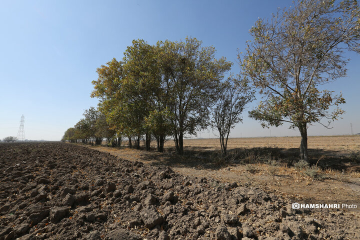 روستای زرگر؛روستای اروپایی قزوین
