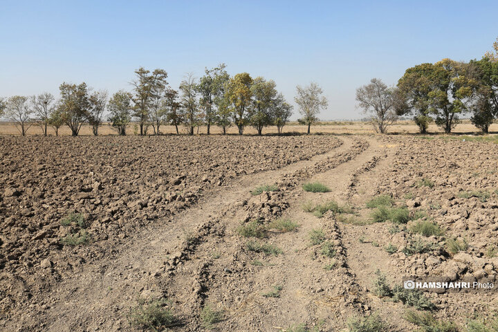 روستای زرگر؛روستای اروپایی قزوین