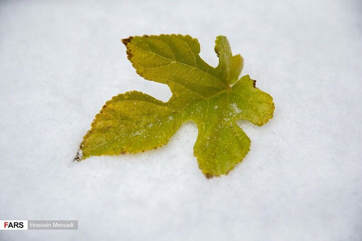 آبان ماه سال ۱۳۹۸ تهران روز برفی