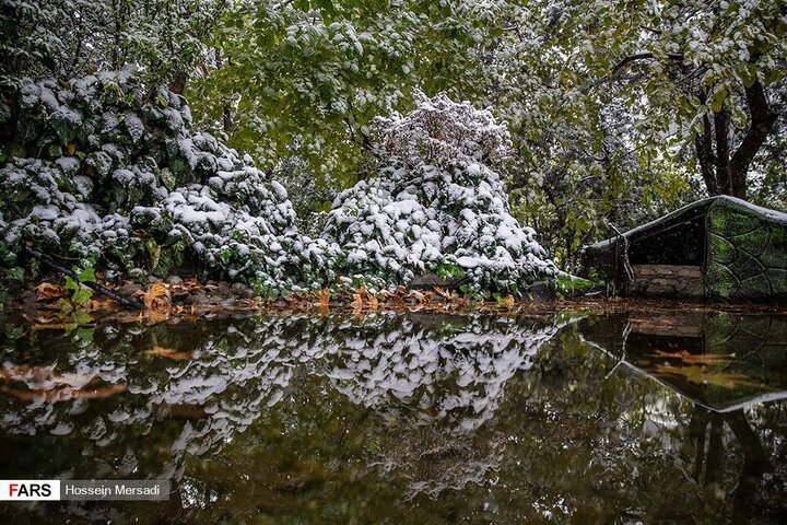 آبان ماه سال ۱۳۹۸ تهران روز برفی