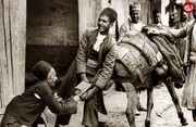 علاف‌های تهران قدیم چه کسانی بودند؟