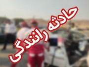 لحظه برخورد وحشتناک یک خودرو با اسب در جاده + ویدئو