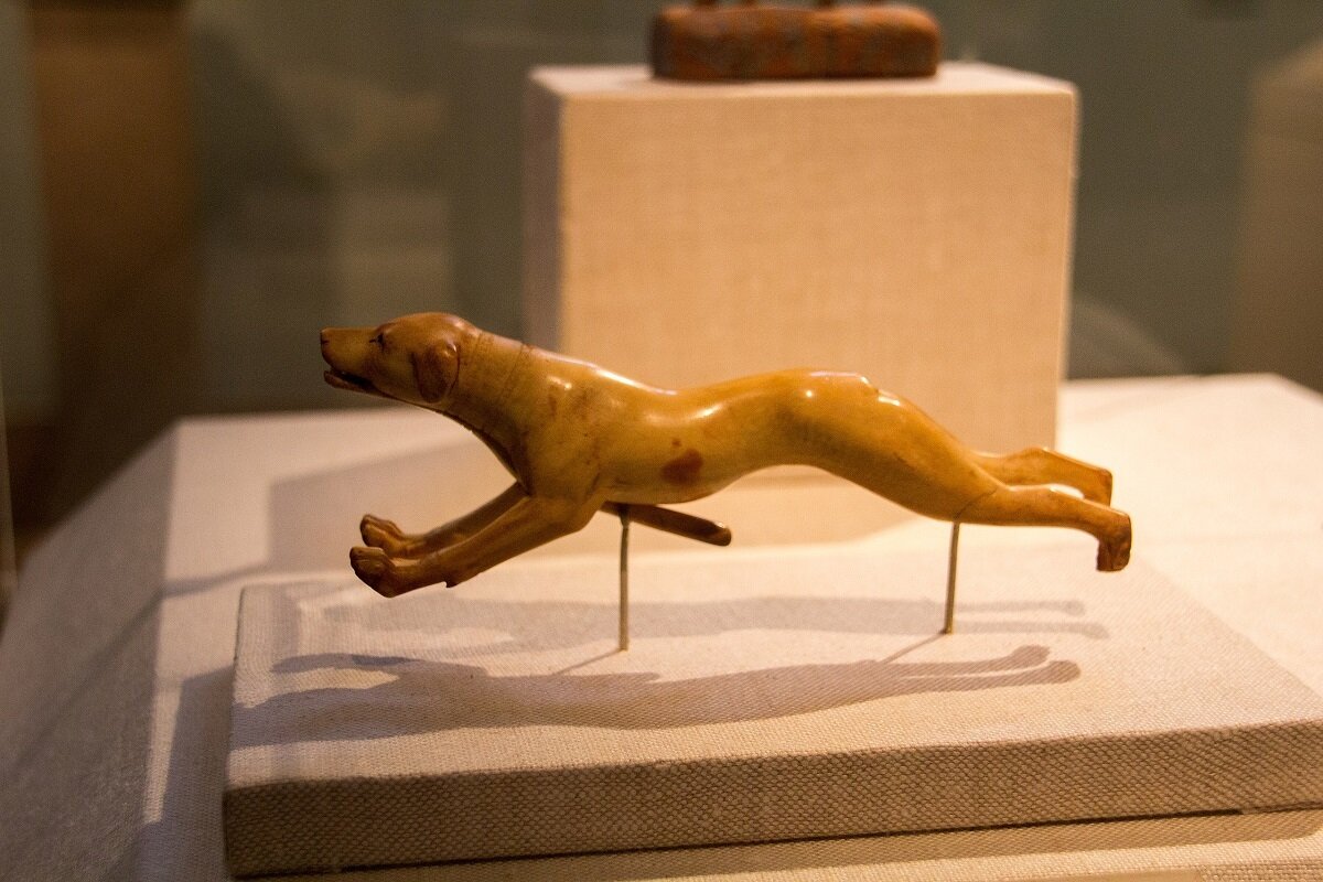 کشف سگ مکانیکی بازمانده از مصر باستان | عکس