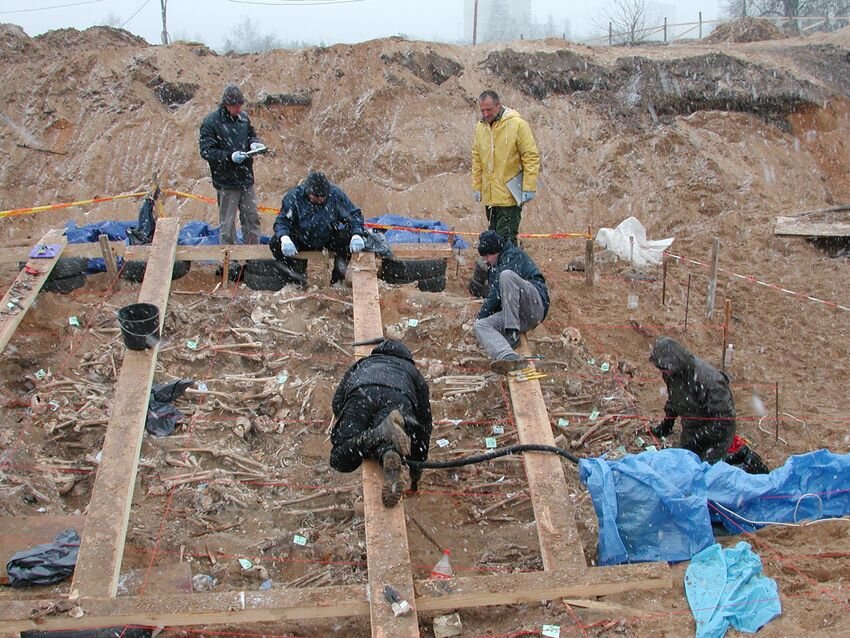 چه بیماری‌هایی ارتش ناپلئون را شکست داد؟