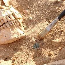 چه بیماریهایی ارتش ناپلئون را شکست داد؟