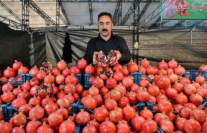 برگزاری جشنواره و نمایشگاه انار در تهران انار