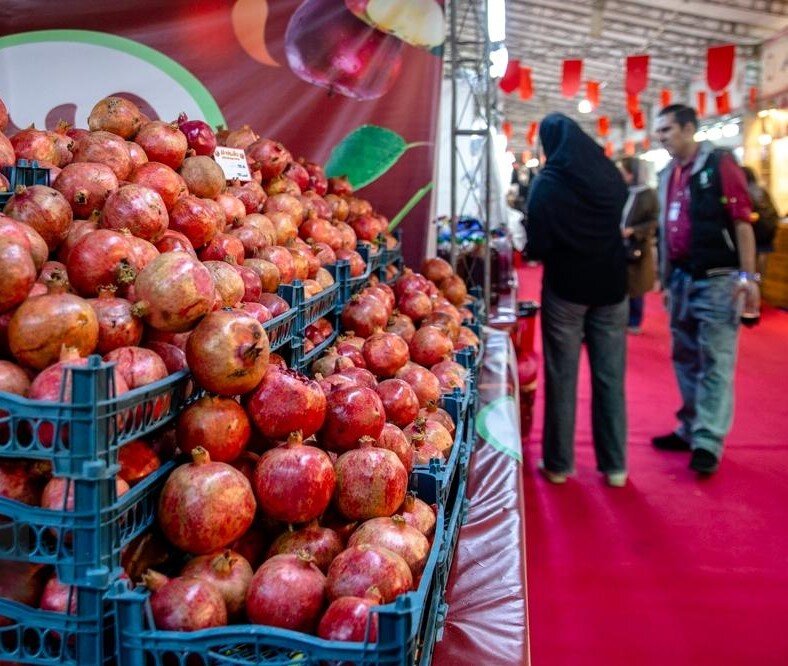 برگزاری جشنواره و نمایشگاه انار در تهران