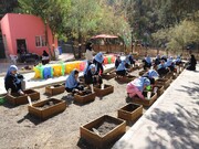 مزرعه‌ای در دل شهر