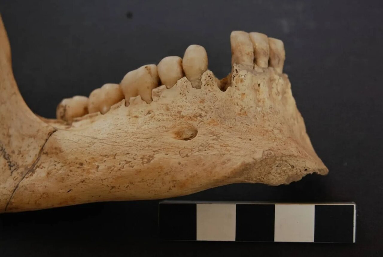 جمجمههای میخکوب شده در اسپانیا چه رازی دارند؟ | عکس