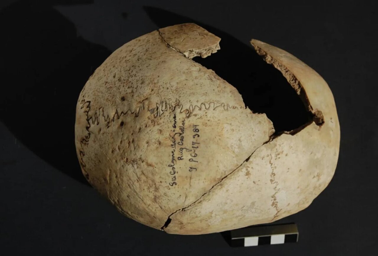 جمجمههای میخکوب شده در اسپانیا چه رازی دارند؟ | عکس