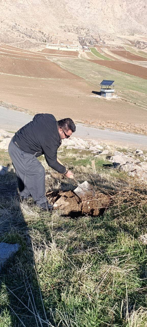 نگهبانان کوچک بلوطها | درباره کودکان یک روستا که همگی محیطبان جنگلهای بلوط شدهاند