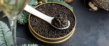 تولید خاویار در ۵۰۰ کیلومتری دریا | قصه کارآفرین سبزواری که در یک شهر دور از دریا پرورش خاویار را شروع کرد