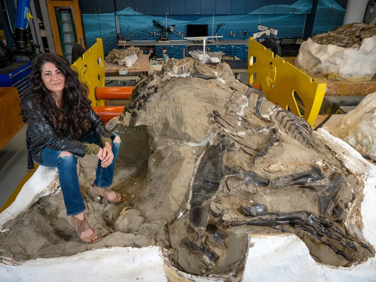 کشف جنجالی گونه‌ای جدید از دایناسورها! | عکس