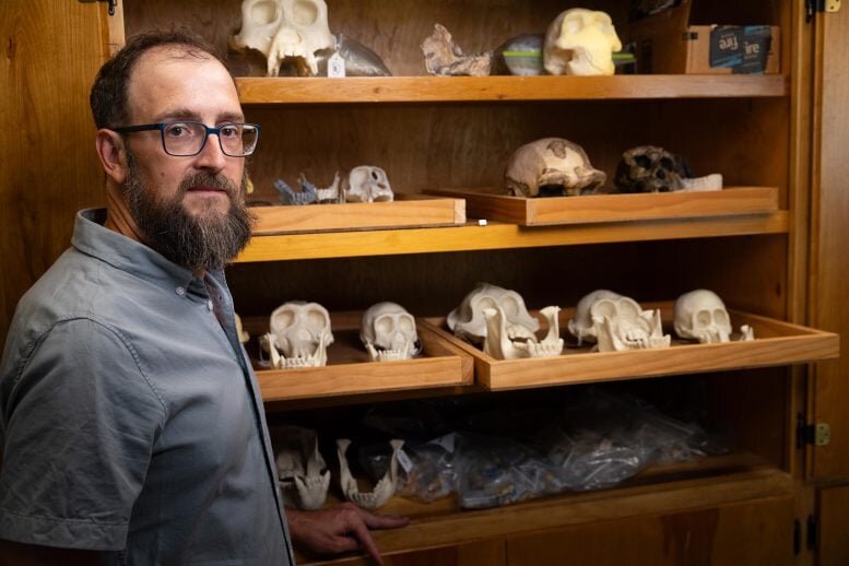 کشف فسیل‌های جدید در اتیوپی، راز میلیون‌ها سال تکامل بشر را آشکار کرد