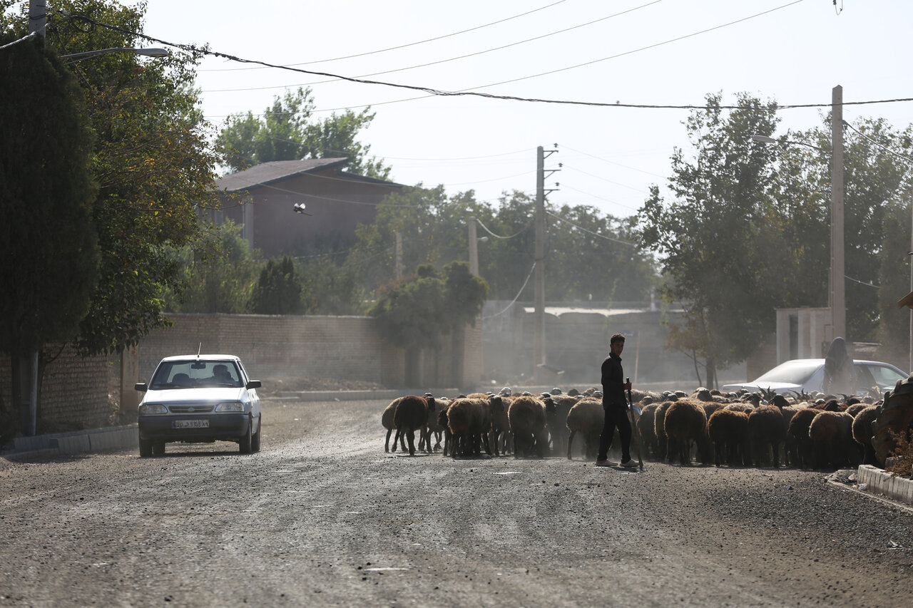 اروپایی های ساکن قزوین | روایتی از روستایی نزدیک قزوین که طبق برخی اسناد تاریخی، اهالی آن رومانیایی هستند