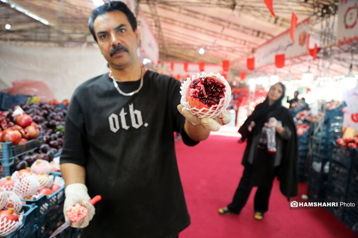 برگزاری جشنواره انار در مصلای تهران