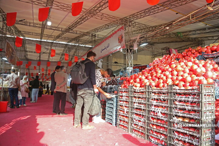 برگزاری جشنواره انار در مصلای تهران