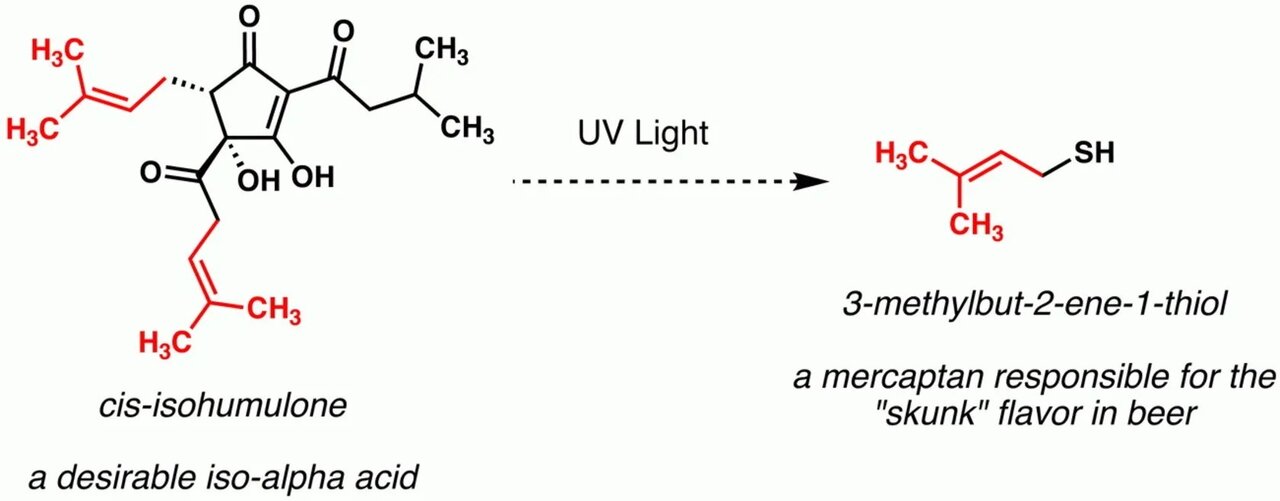 پاسخی غیرمنتظره برای این سوال؛ چرا بطری‌ ماءالشعیر سبز یا قهوه‌ای است؟ ‎