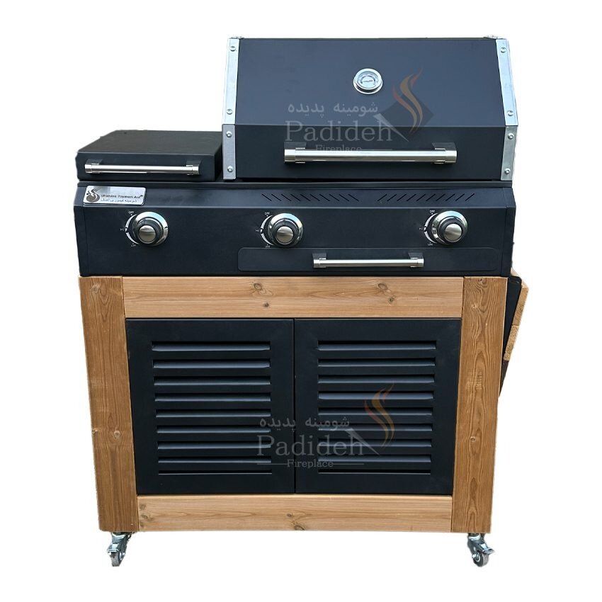 تولیدکننده باربیکیو در ایران