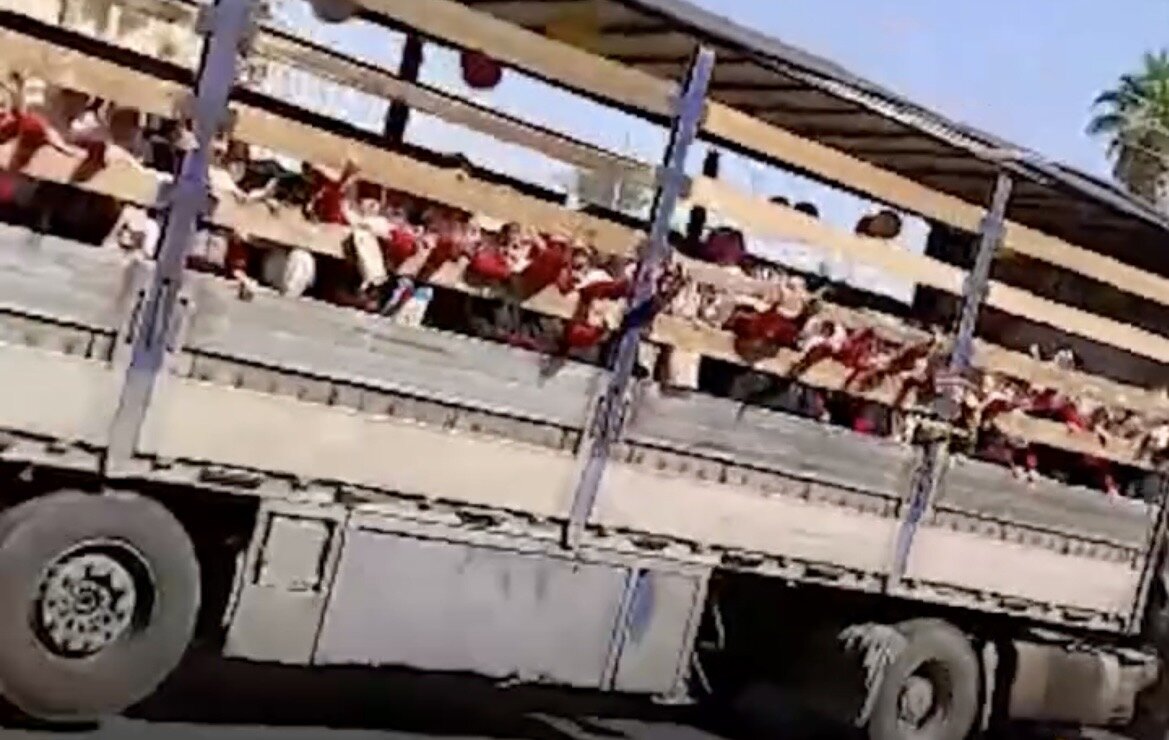 دانش آموزان