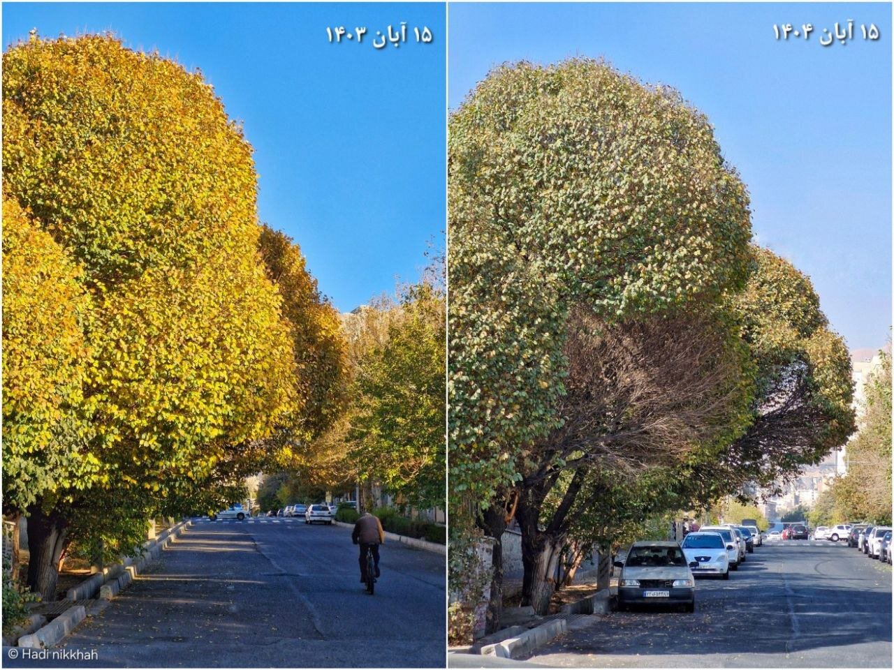 وقتی ساعت طبیعت کوک نیست