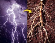 الگوهای شگفت‌انگیز در طبیعت؛ از سحابی هلیکس تا چشم انسان! | عکس