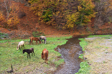 زیباترین جاده ایران امروز ۹۲ ساله شد | تصاویر