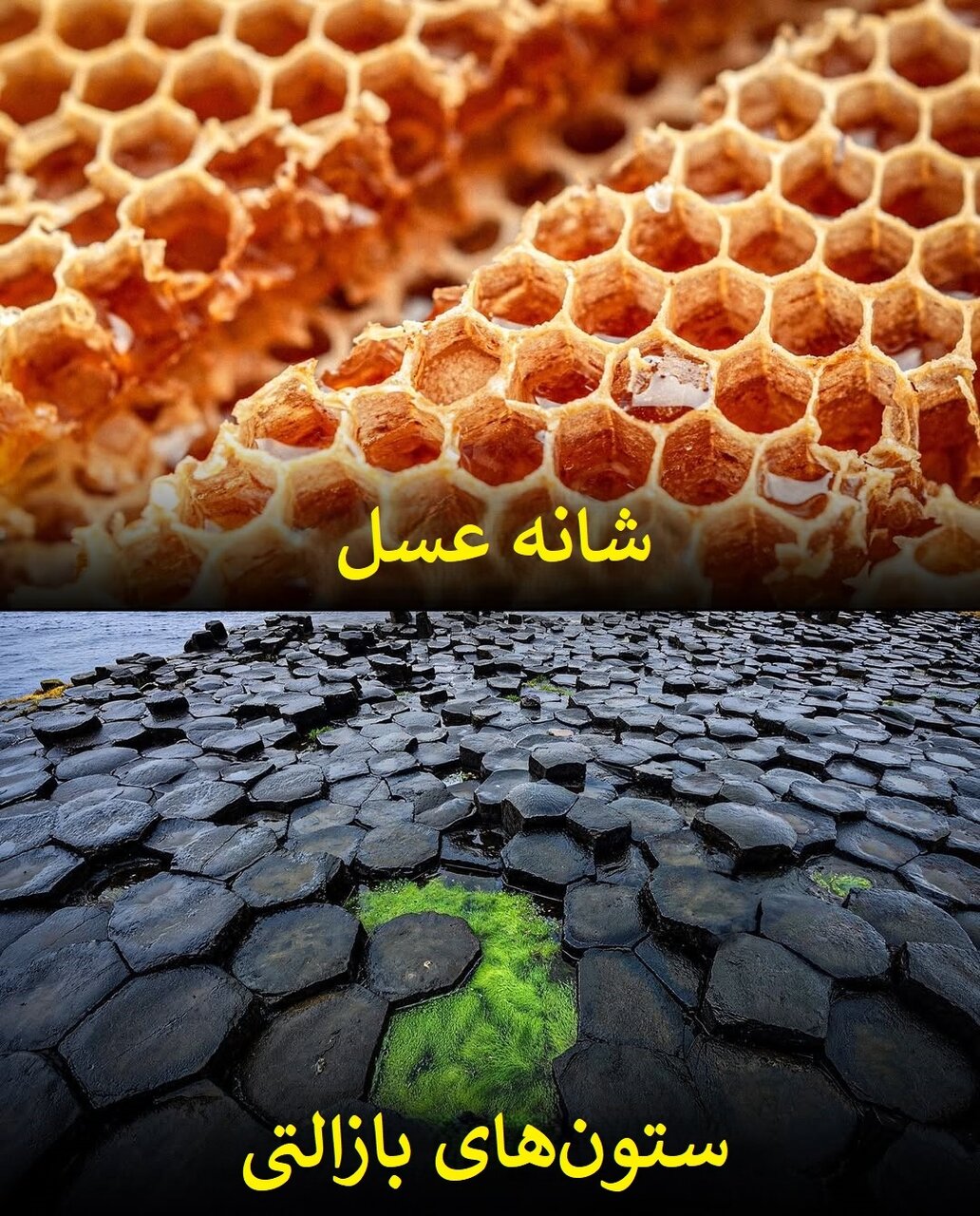 الگوهای شگفتانگیز در طبیعت؛ از سحابی هلیکس تا چشم انسان! | عکس