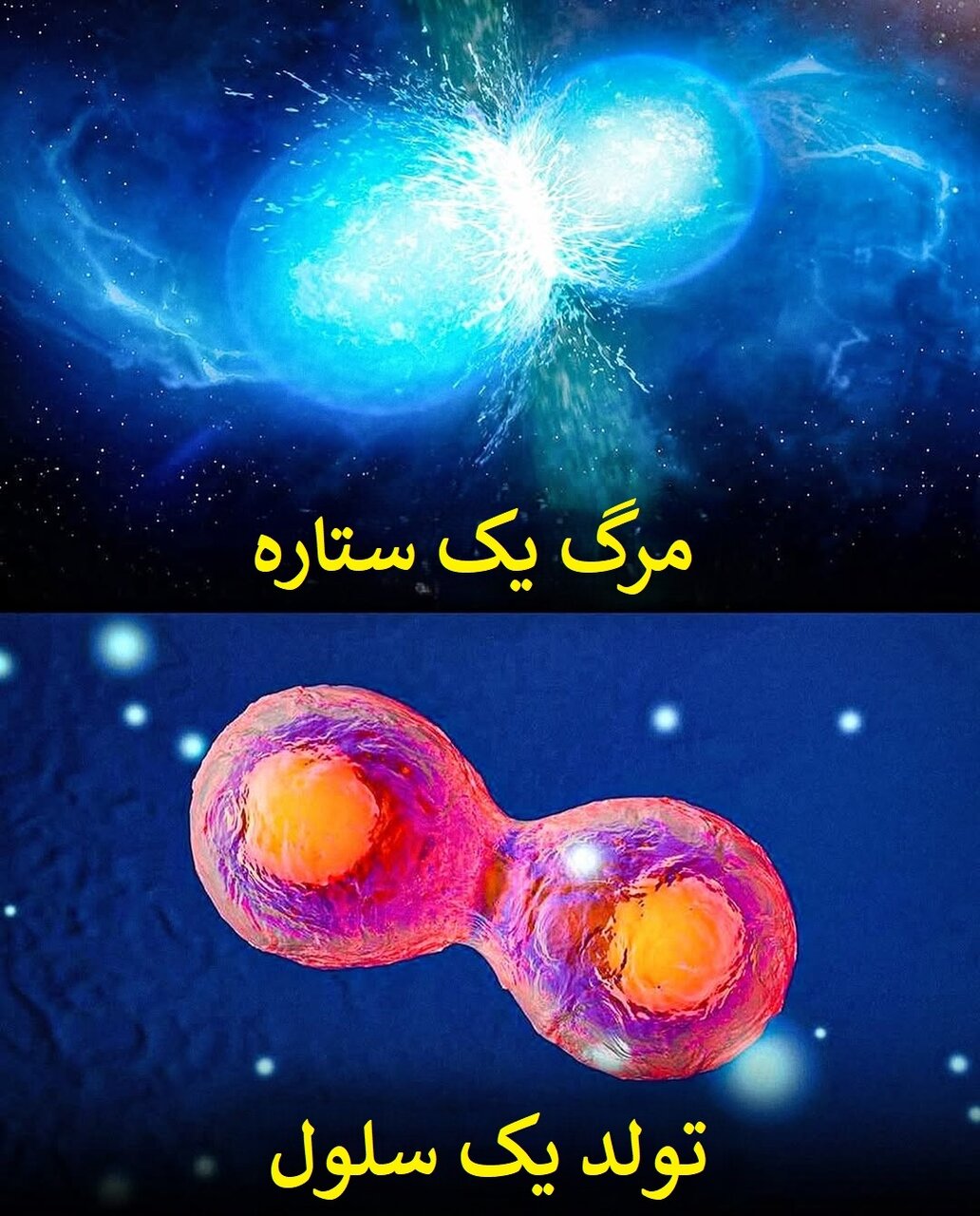 الگوهای شگفت‌انگیز در طبیعت؛ از سحابی هلیکس تا چشم انسان! | عکس