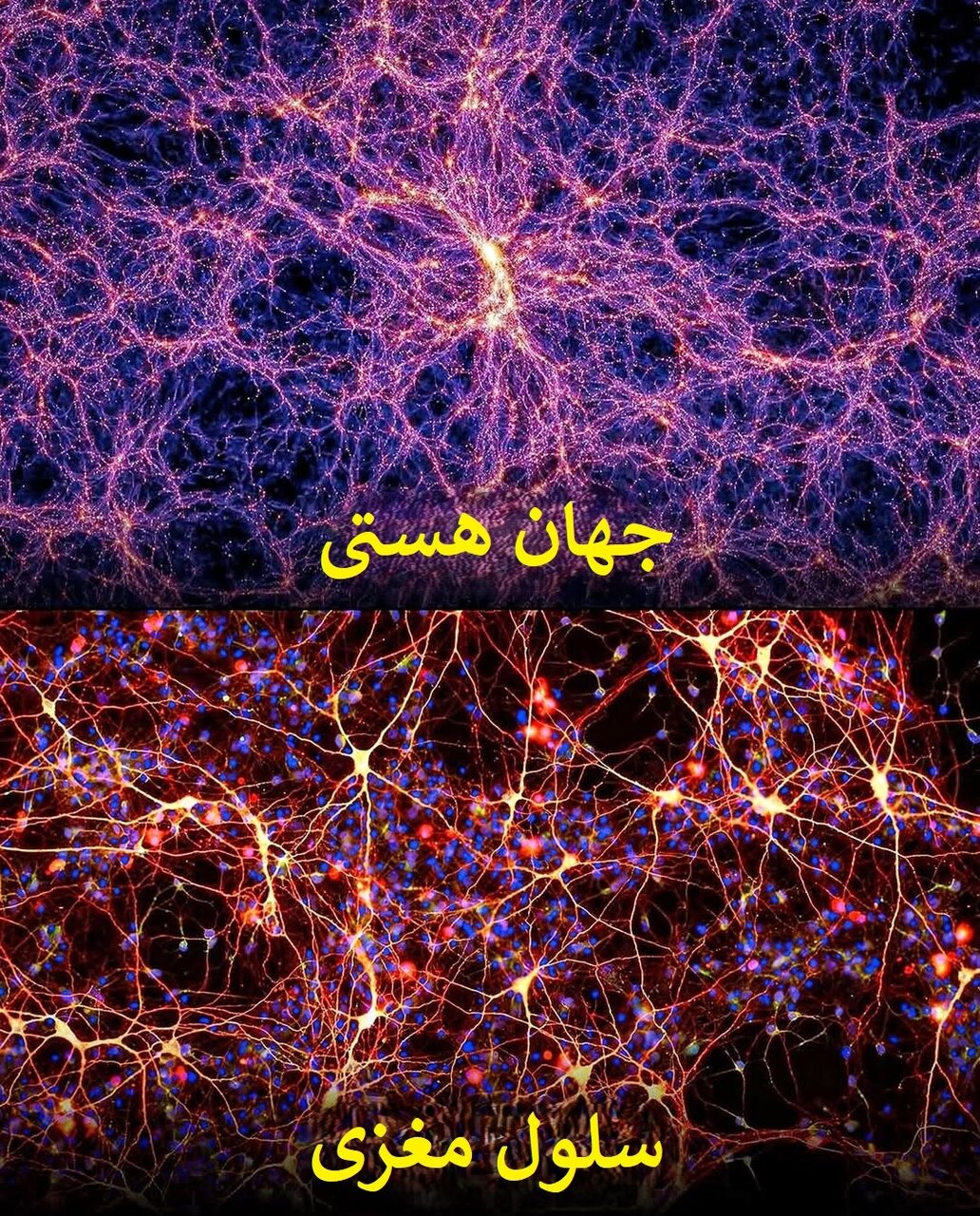 الگوهای شگفت‌انگیز در طبیعت؛ از سحابی هلیکس تا چشم انسان! | عکس