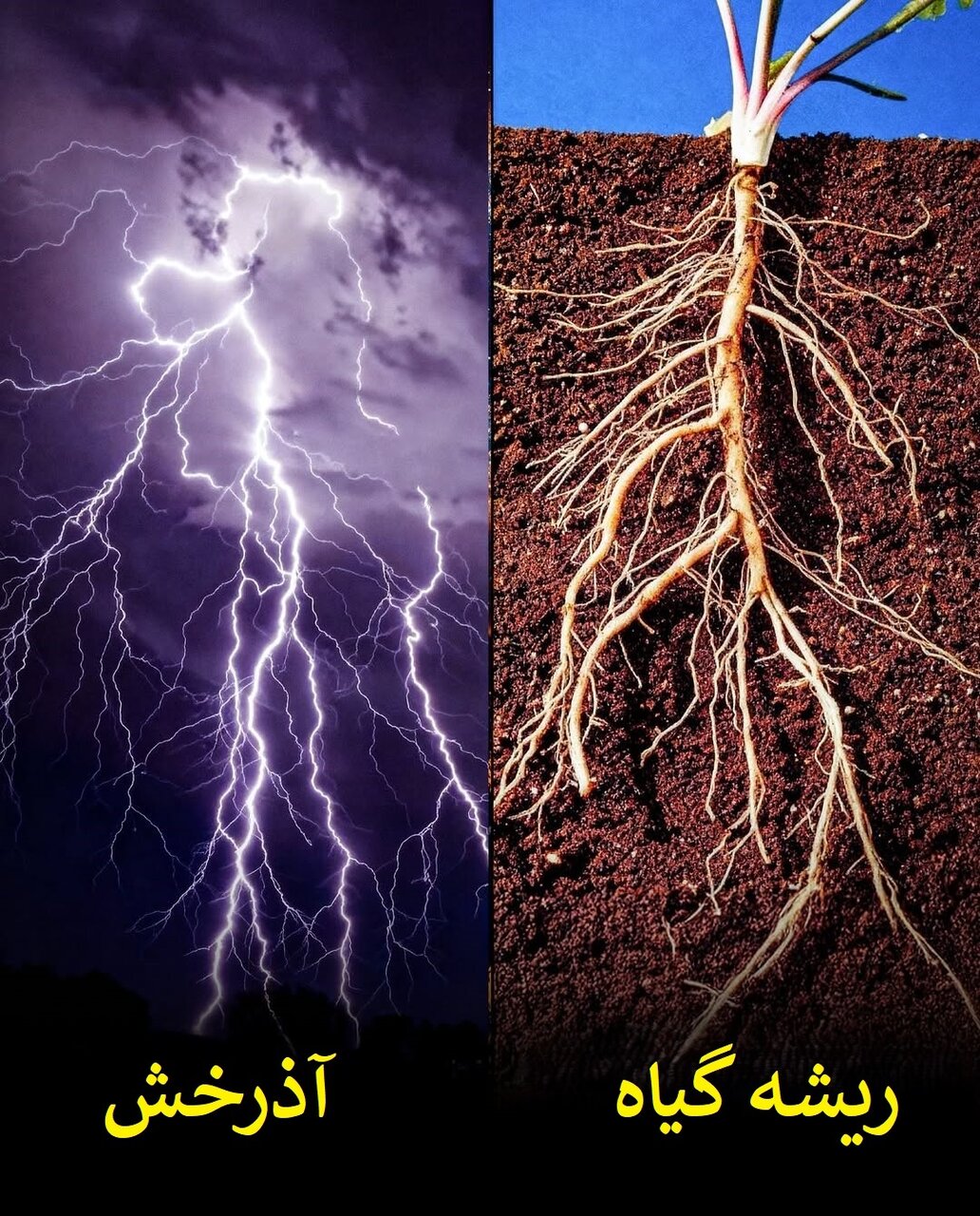 الگوهای شگفت‌انگیز در طبیعت؛ از سحابی هلیکس تا چشم انسان! | عکس