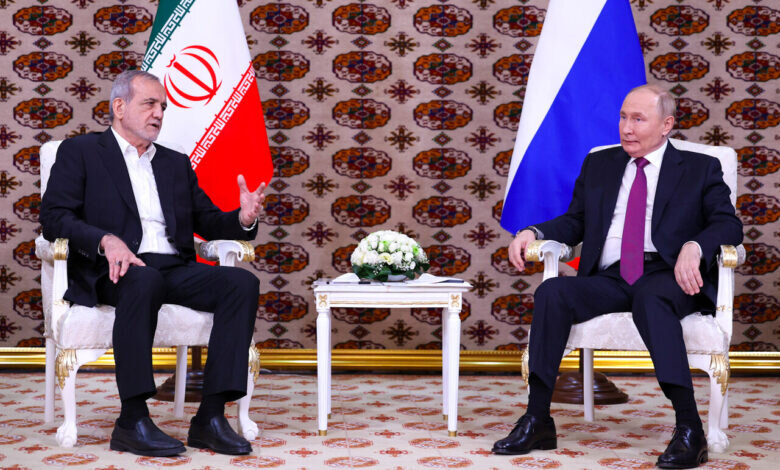 نقش ایرانی بر زمین جهانی | چطور فرش ایرانی به سازمان ملل رسید؟