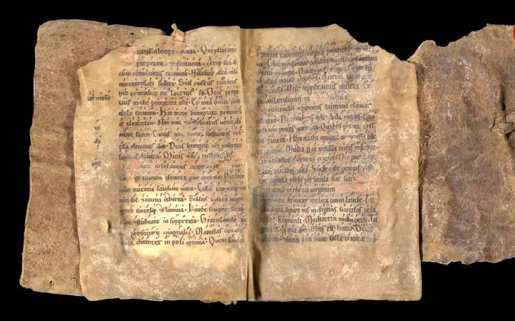 کشف قدیمیترین کتاب نروژ ساخته شده با پوست فک | عکس